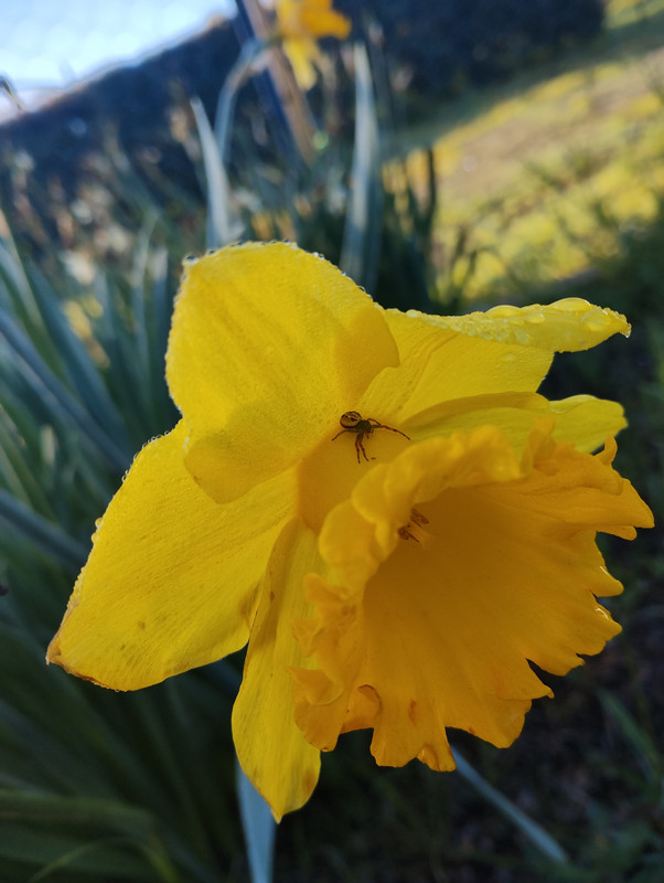 IMG_20230907_073535363