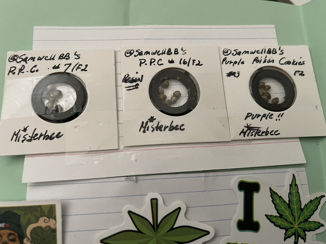 3F264078-0E42-4F5F-B739-0E3B6238DC86