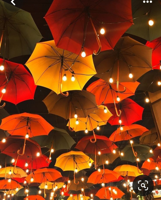 Screenshot_20231112_235200_Pinterest