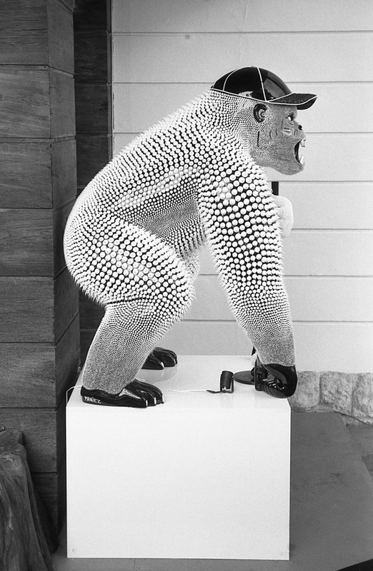 100FomapanClassic012