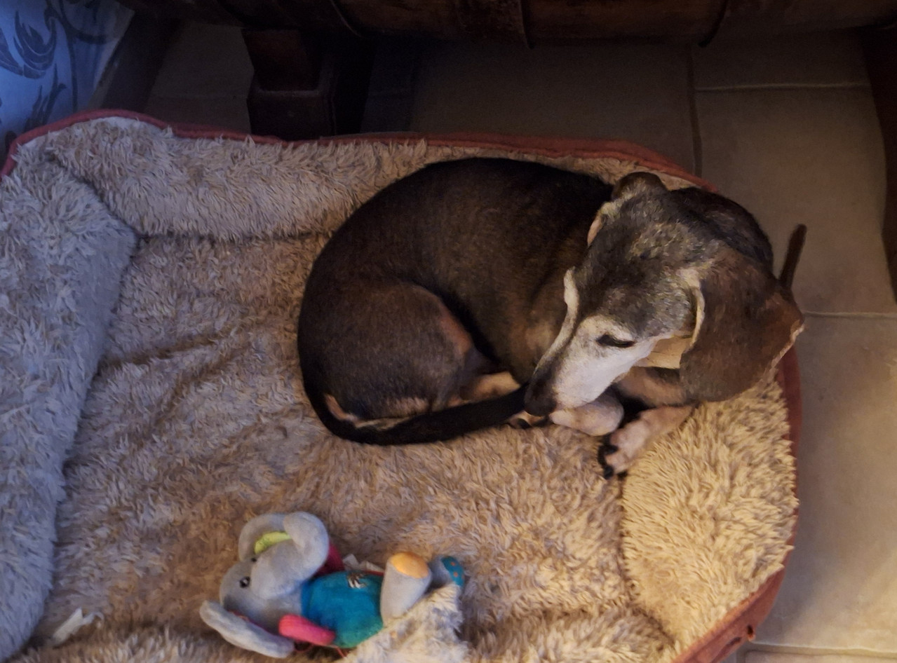 [Image: 20251124-193024.jpg]