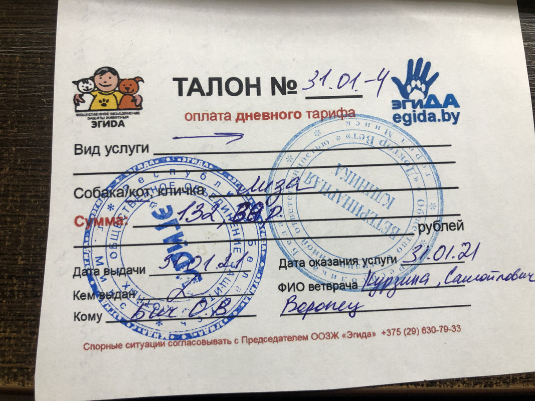 70753FB2-803F-48BD-9896-538C08877118