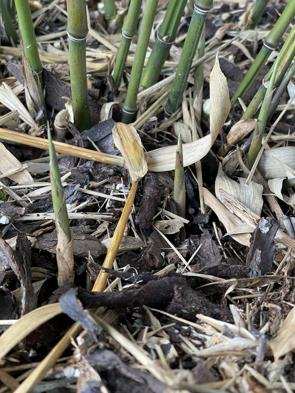 5FE756B7-3159-45D5-B0F0-873B11251FE8