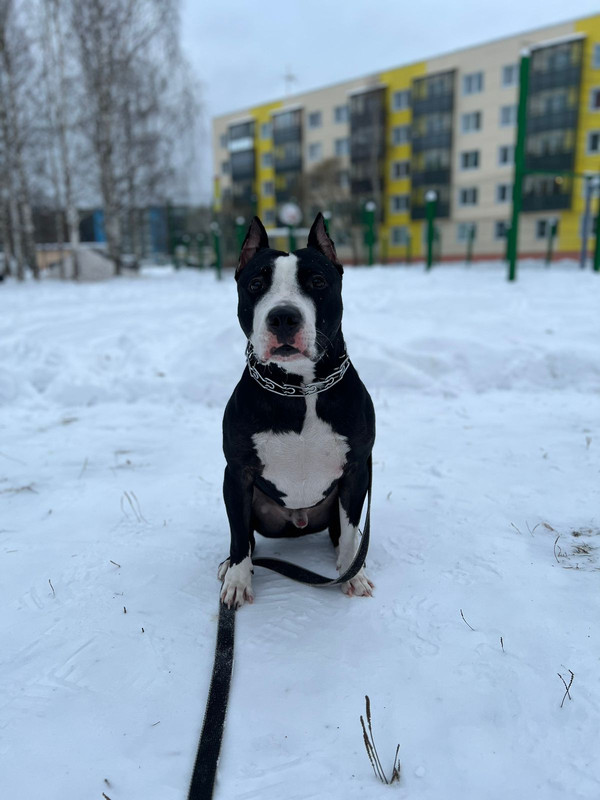 FD09A98A-34B2-4C9B-846C-59B8EF61C68E