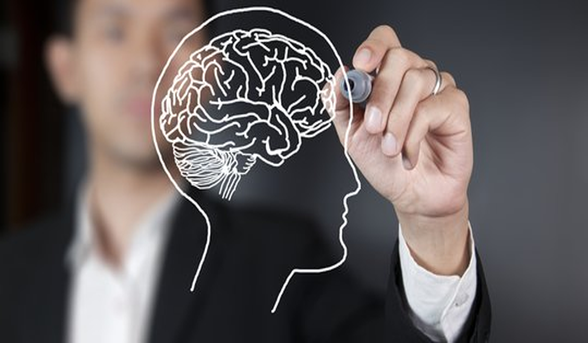 IQ Orang Indonesia Lebih Rendah Dari Kamboja, Ini Analisis Lengkapnya