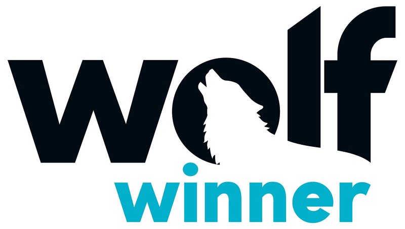 WolfWinner Casino Logo