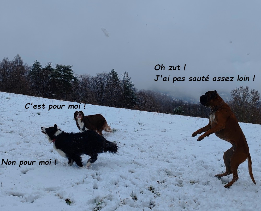 IMG-20260314-150613bb