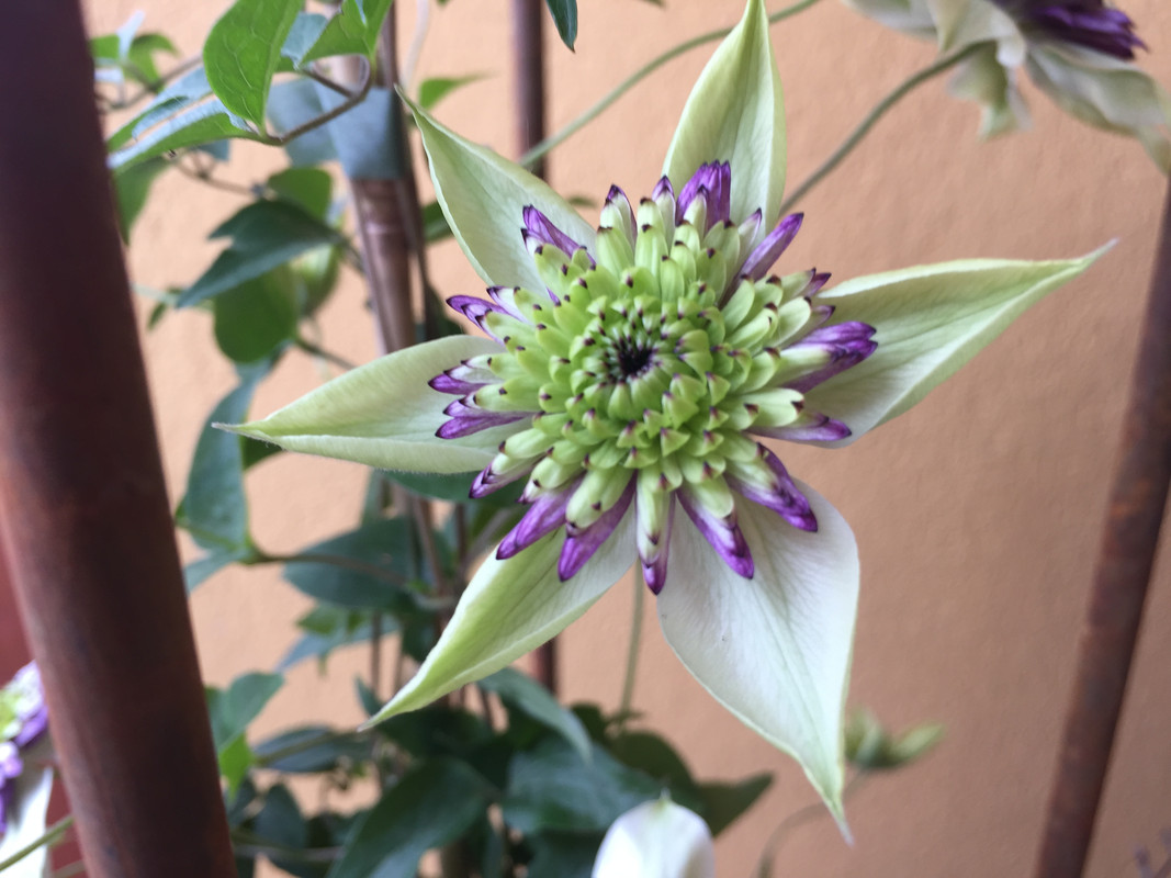 0847857E-649C-4FC1-A6FC-FB5413F7ACB0