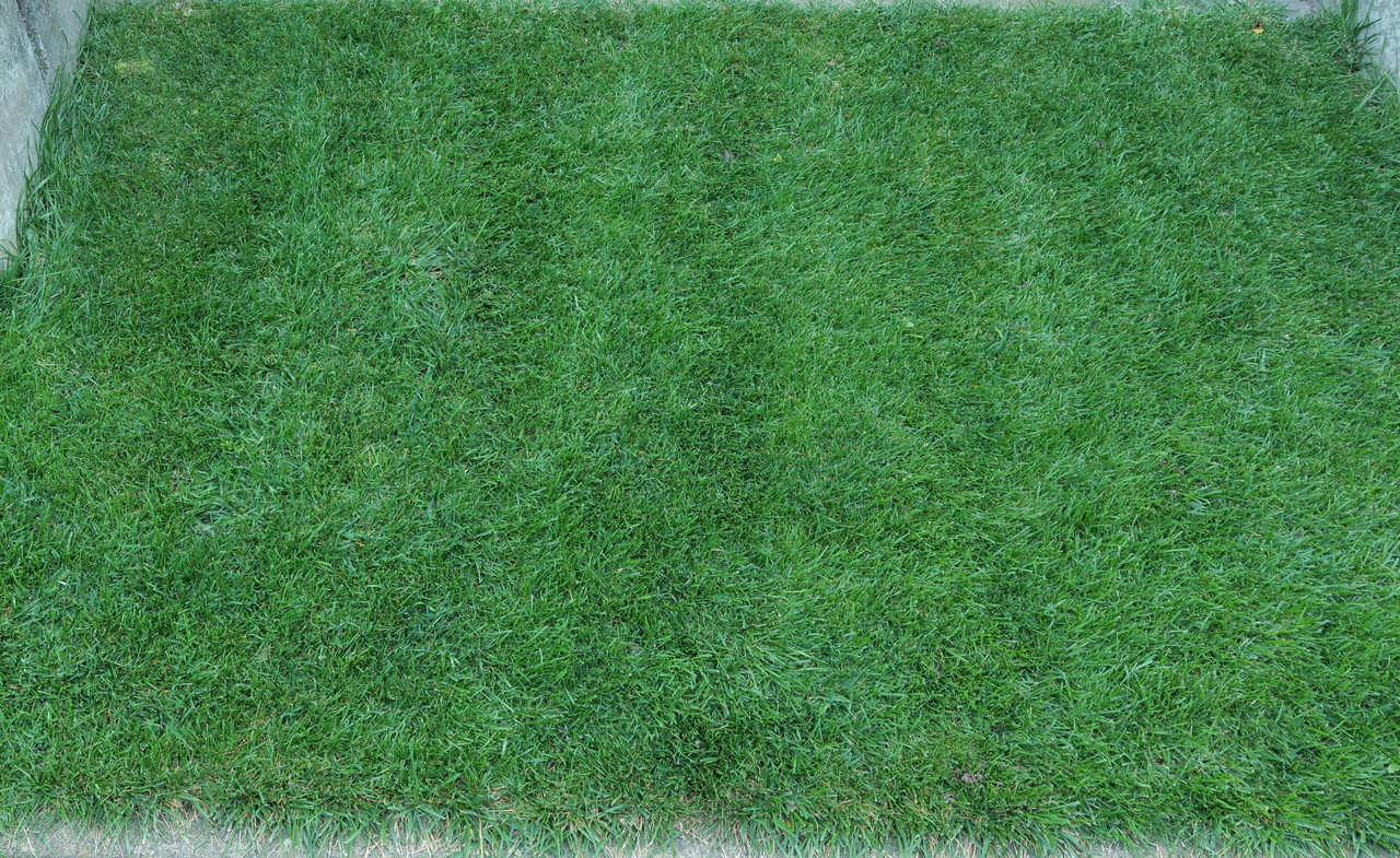 Rasen T13 20210904 (von 20170928)