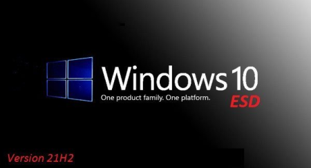 Windows 10 x64 Pro 21H2 Build 19044.1466 OEM ESD MULTi-4 Preactivated January 2022