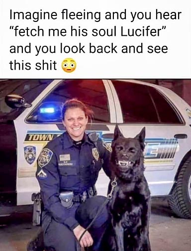 501798206-999055172391640-2334395866768955438-n.jpg