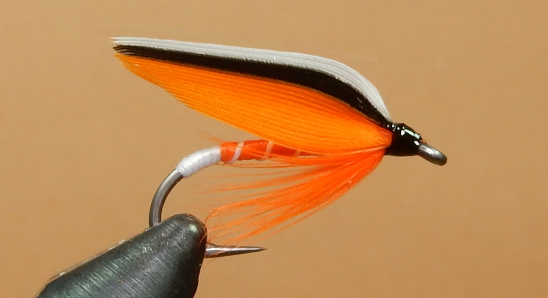 Fontinalis-Fin-1080.jpg