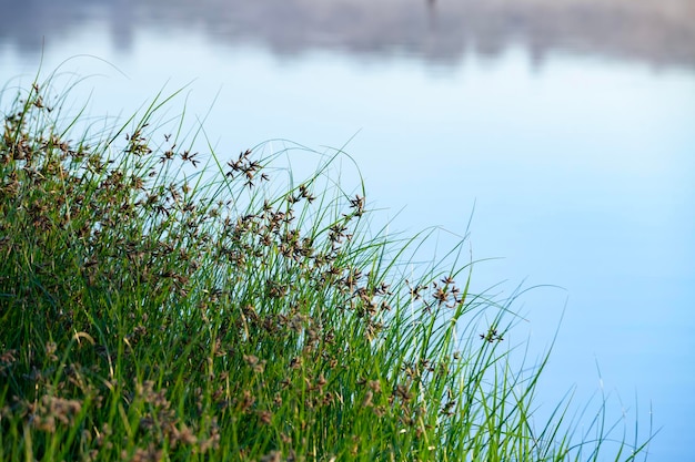 Lazy Lakes and Crisp Breezes: Homespun Fun on Water and Grass
