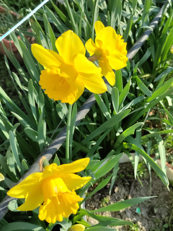 IMG_20240324_082246