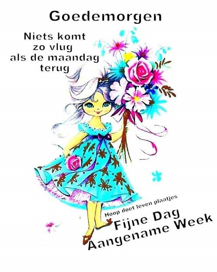 niets-komt-zo-vlug-dan-de-maandag-terug.jpg