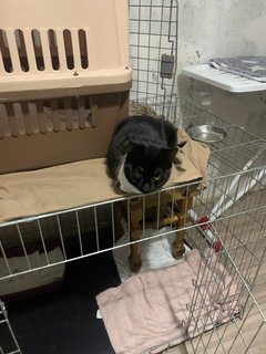 DCFD9E58-9D55-4C4C-8459-5529675AA7A5