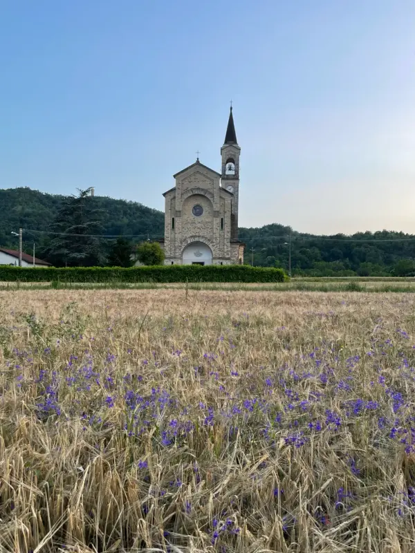 A field of yellow grass with tiny purple wildflowers. A tall and thin church stands behind, at the sunset. The sun is not visible. On the far background, green hills. On the left, there is a tiny stone tower.
