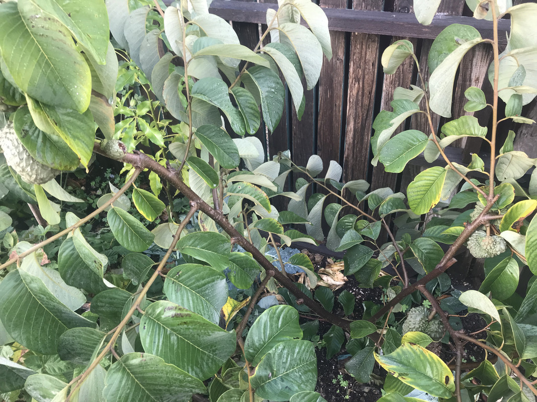 FC6A5E78-CC41-486D-B0A1-E93613E22DE5