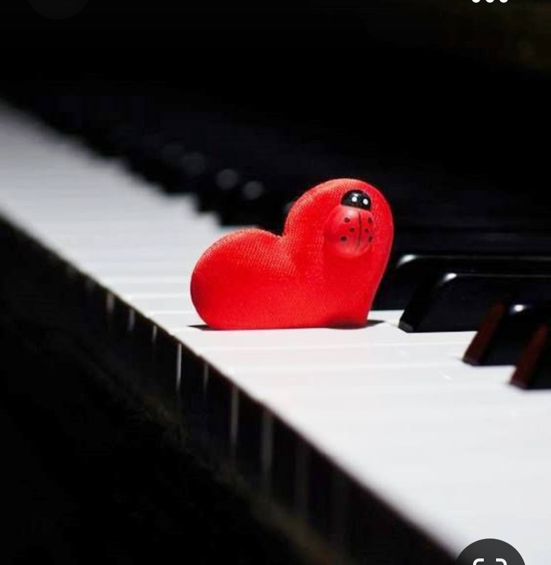 Screenshot_20230928_205740_Pinterest