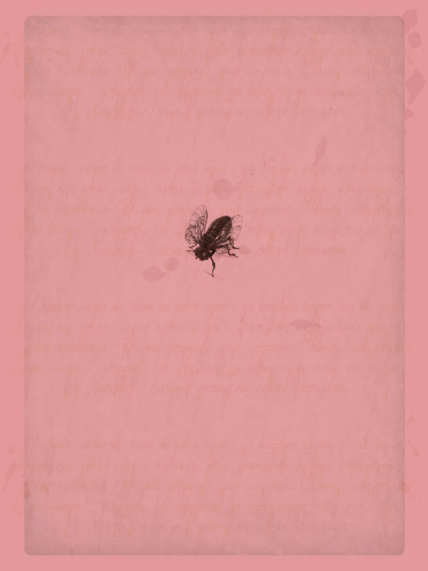 p0004