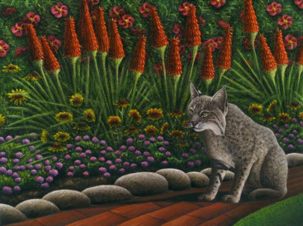 18-cat-bob-the-bobcat-carol-wilson-004