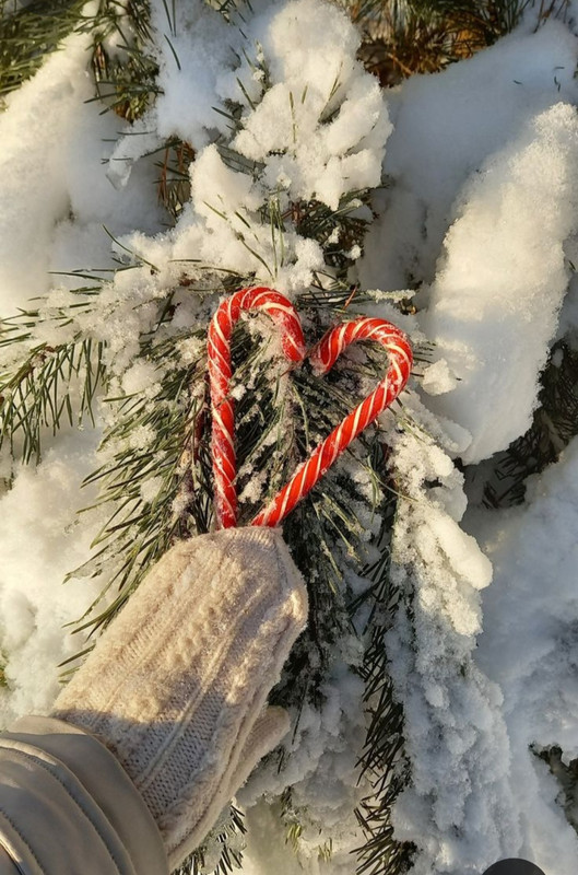 Screenshot_20231118_153454_Pinterest