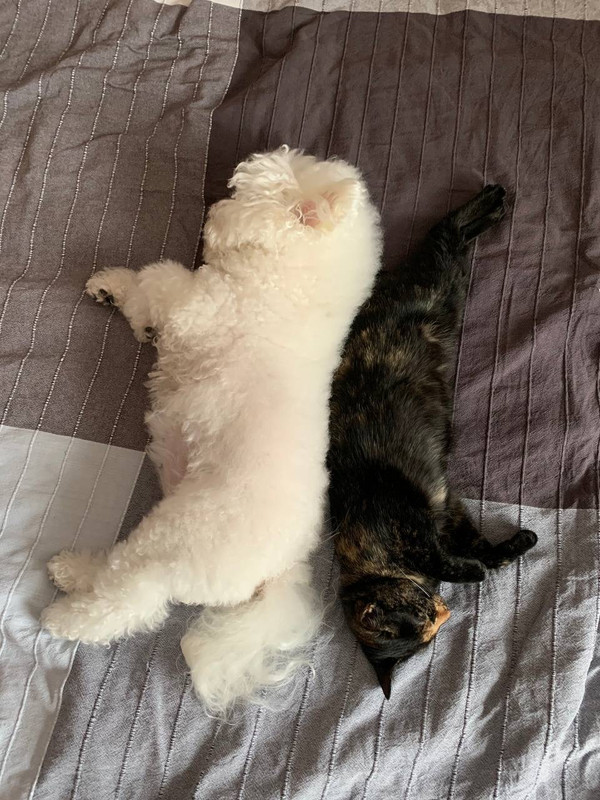 CE456260-E1F0-4253-9097-8FCC7377FFC6