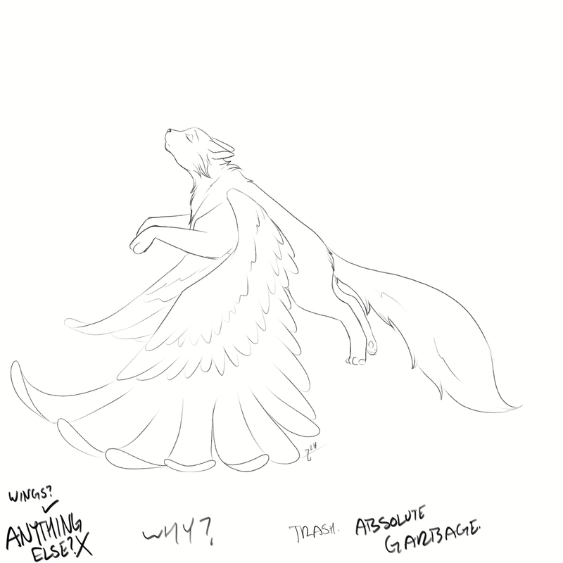 IMG-2530.png