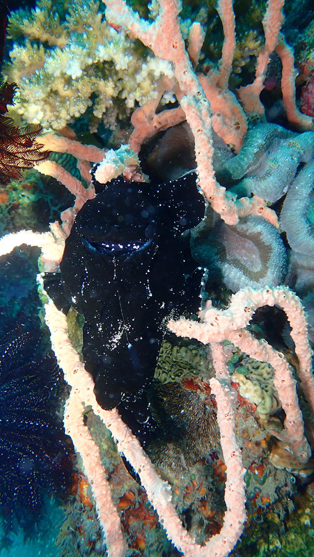 97927F53-7059-43A3-A21E-1A7F118432E1