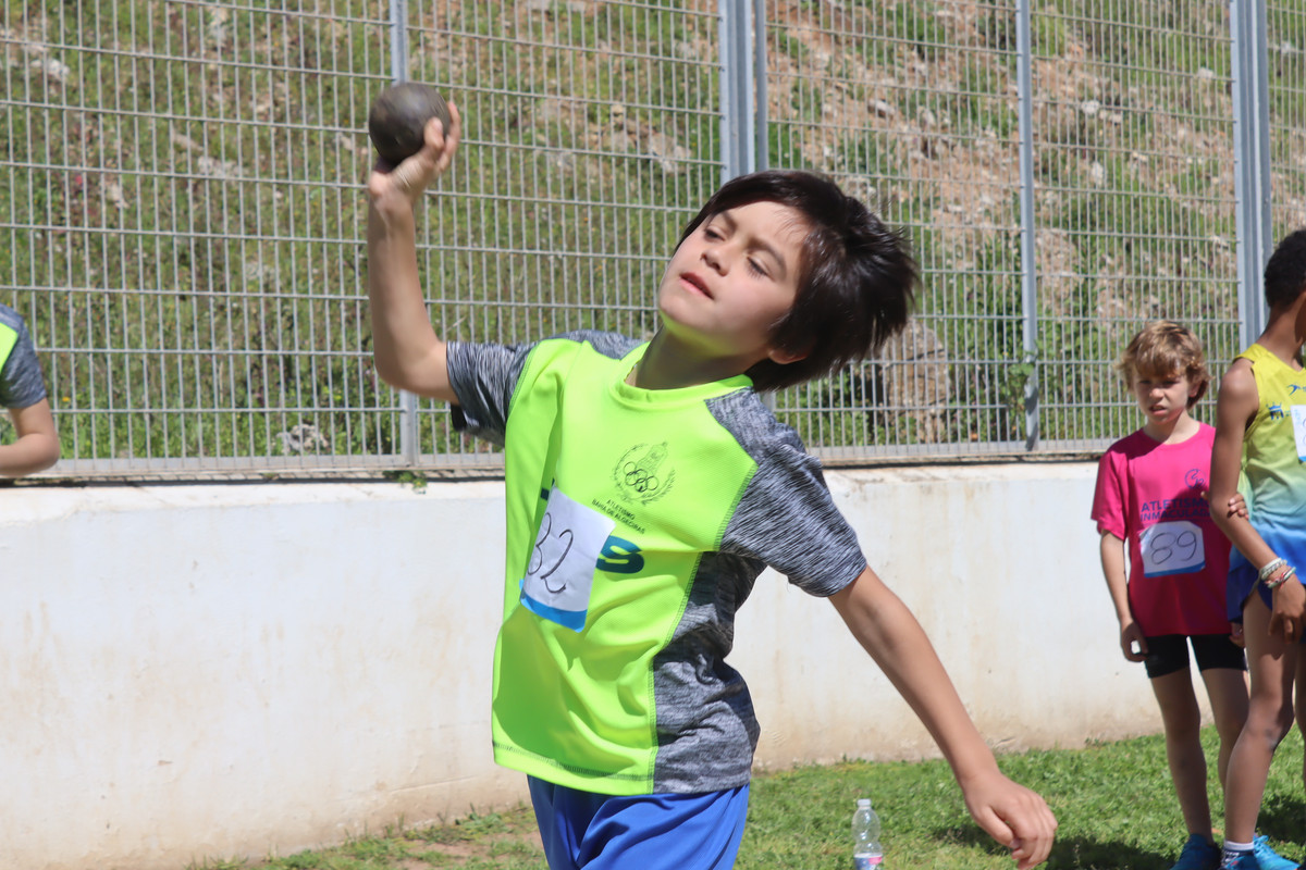 IMG-4550