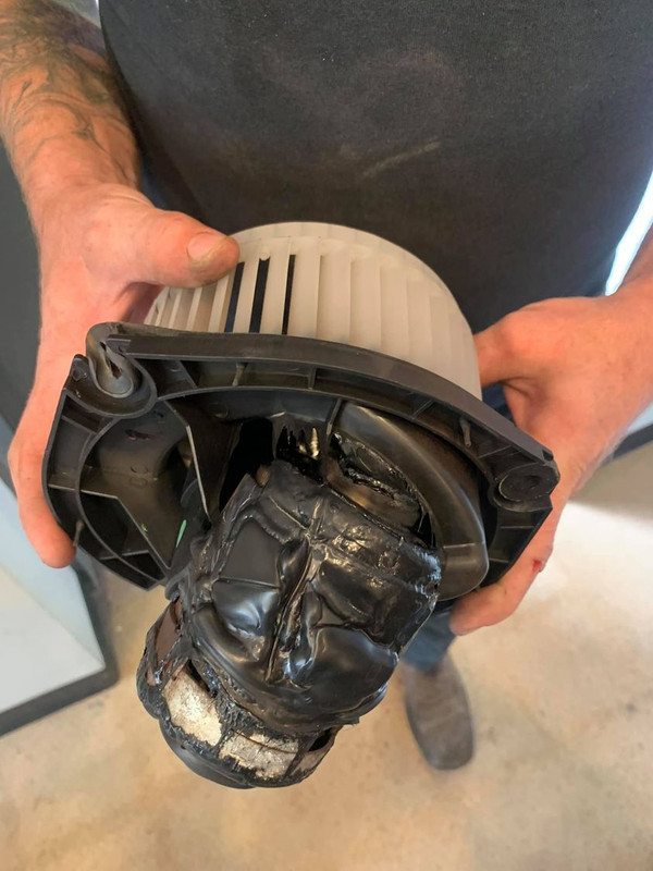 240678676_5215545905122948_1377389847235469829_n