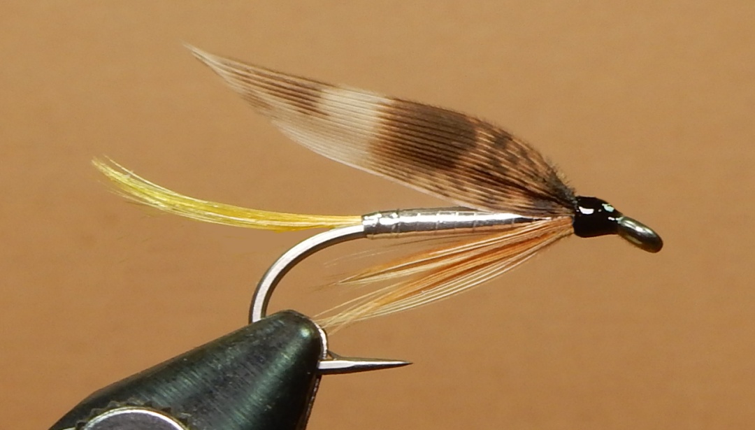 Little-s-Fancy-1080.jpg