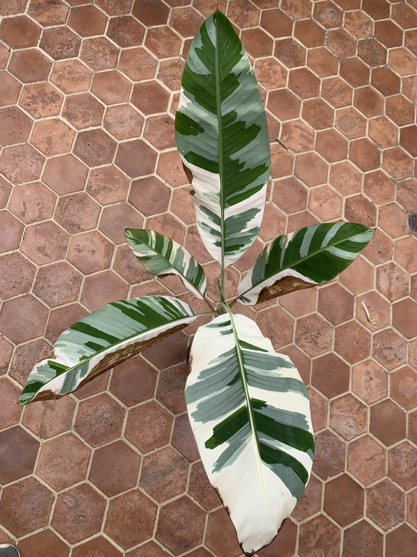 AC905ADF-302A-4CD1-AEEC-0B4D55C87199