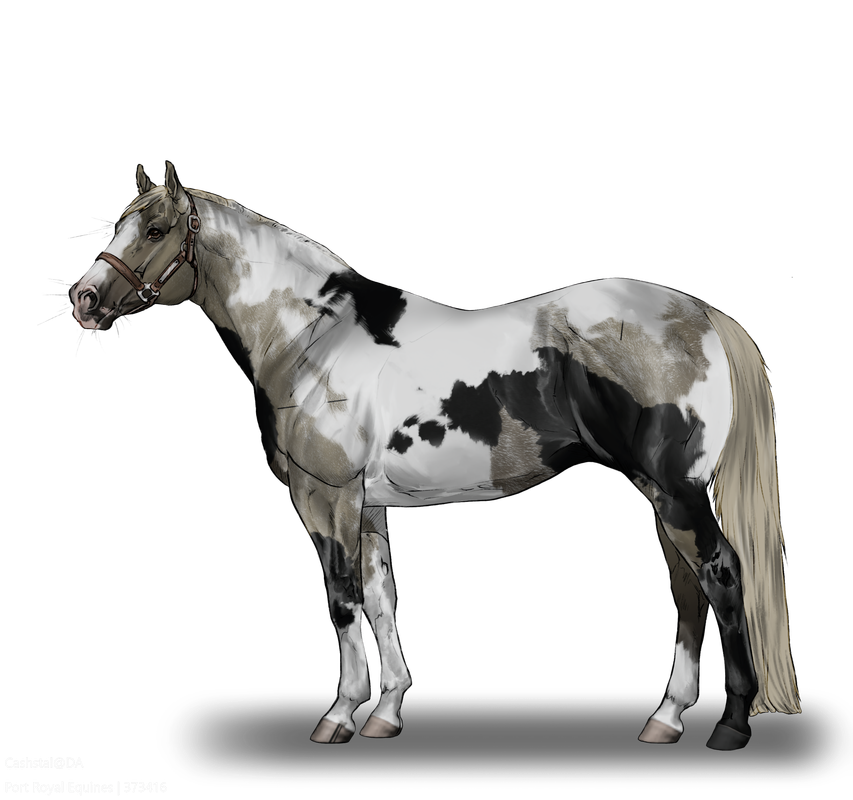 Cashstal_Stock_Base_20250105181635.png