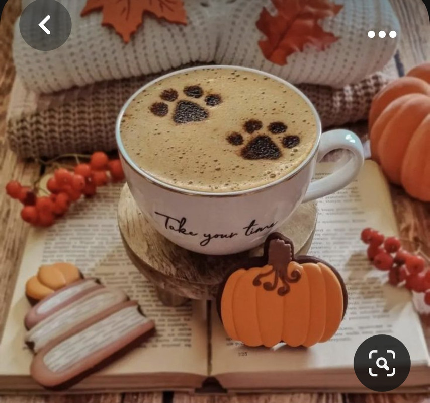 Screenshot_20231008_215346_Pinterest