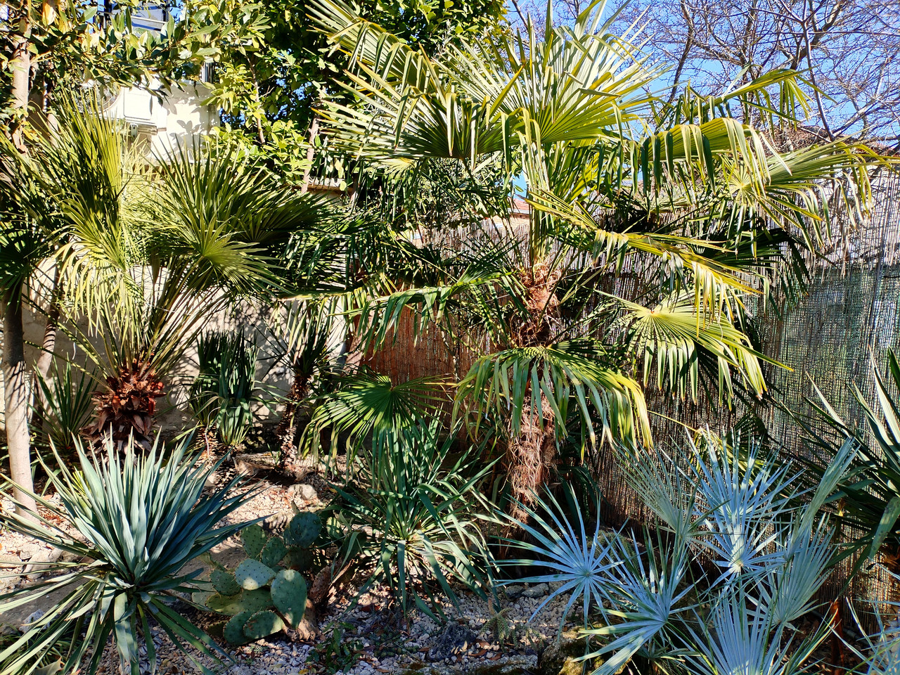 IMG 20260309 151406 edit 843370253789371