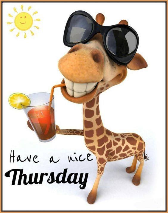 Thursday-Giraffe