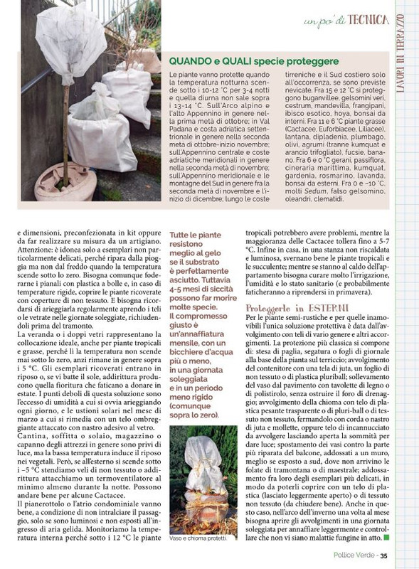 Pol Ver Nov-Dic 2022 (6)