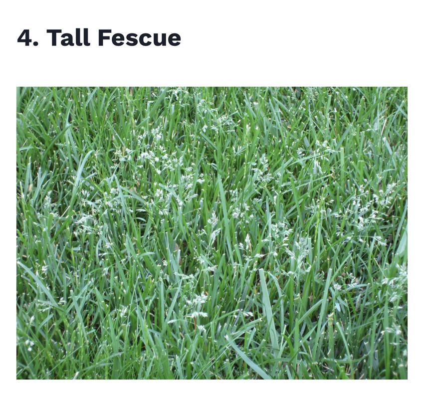 33208D54-062D-4A33-A0BE-A5C614334A53