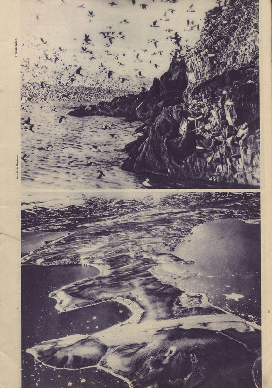 СССР на стройке 1933 09-изображения-10