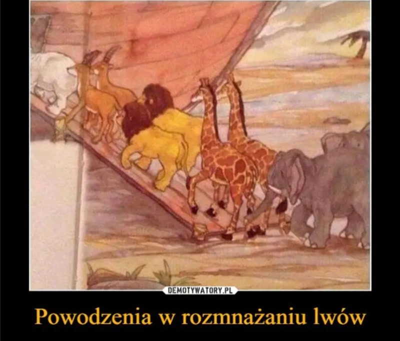 Screenshot_20240226-155500