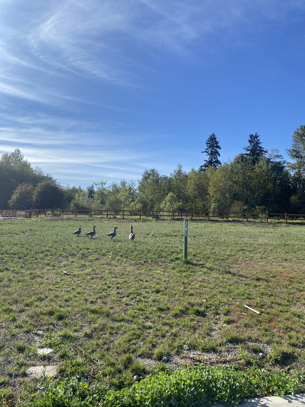 B73D5689-BE44-45FE-B7C6-0CD566100A32