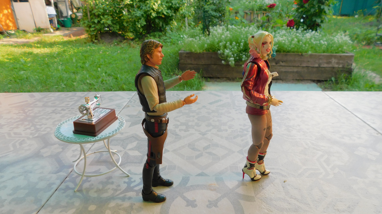 Дачно-Харлинский июнь-июль 2024 106