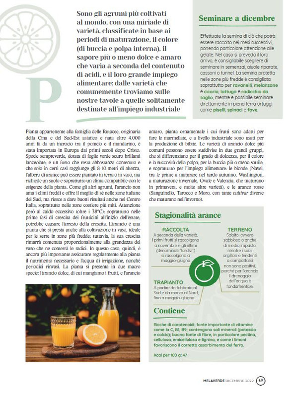 melaverde Dic 2022 (8)