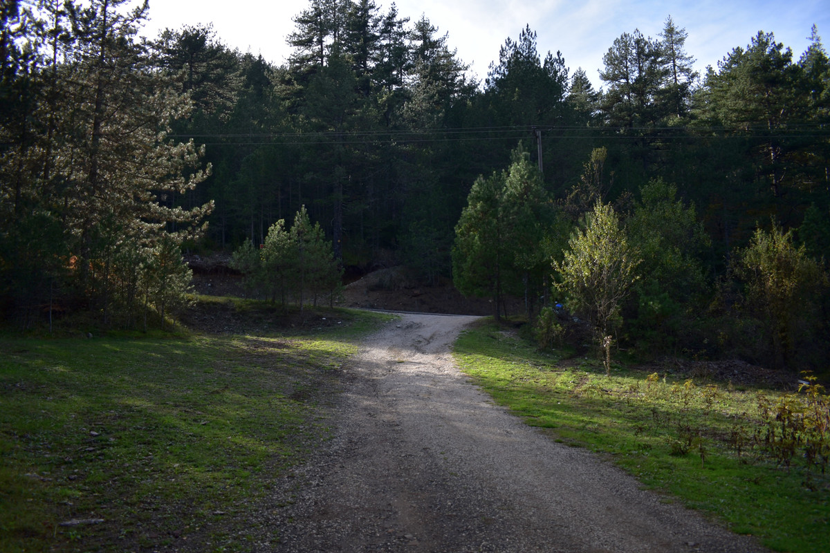 Βάλια Κάλντα (13)