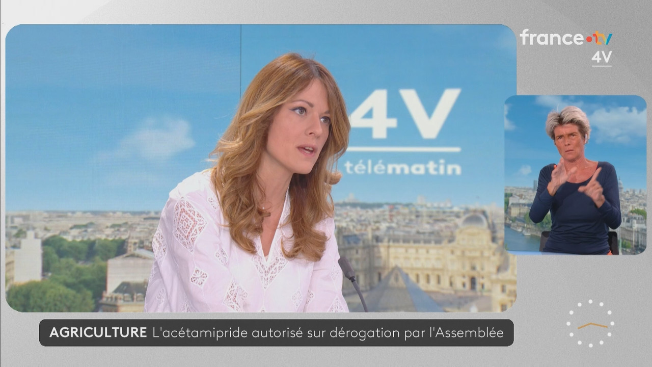 Journal 08h00 (France 2) 2026 07 21 06 55 81 ts snapshot 22 31 514