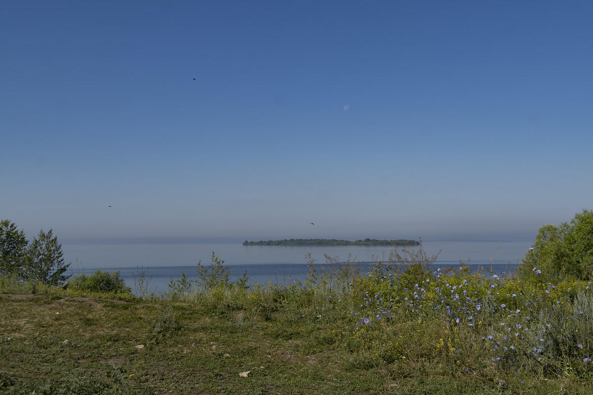DSC09904-1i.jpg
