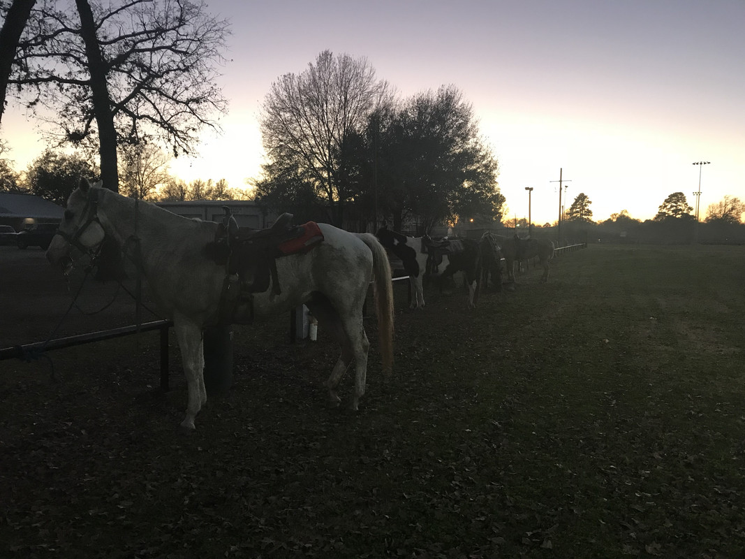 89E76206-A06D-4B81-9A8A-026280A3F05C