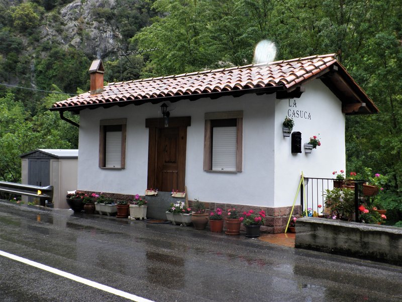 PICOS DE EUROPA-16-5-2013-LEON/ASTURIAS/CANTABRIA - Paseando por España-1991/2016 (78)