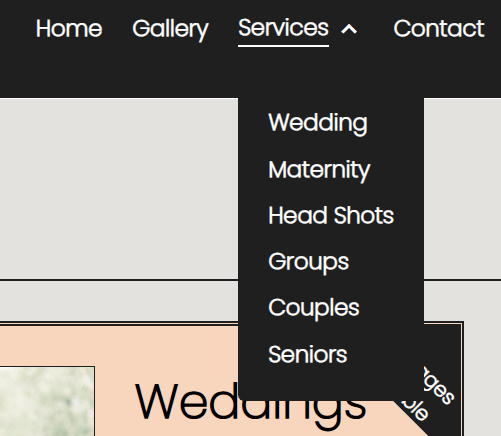 CDP Services Navigation